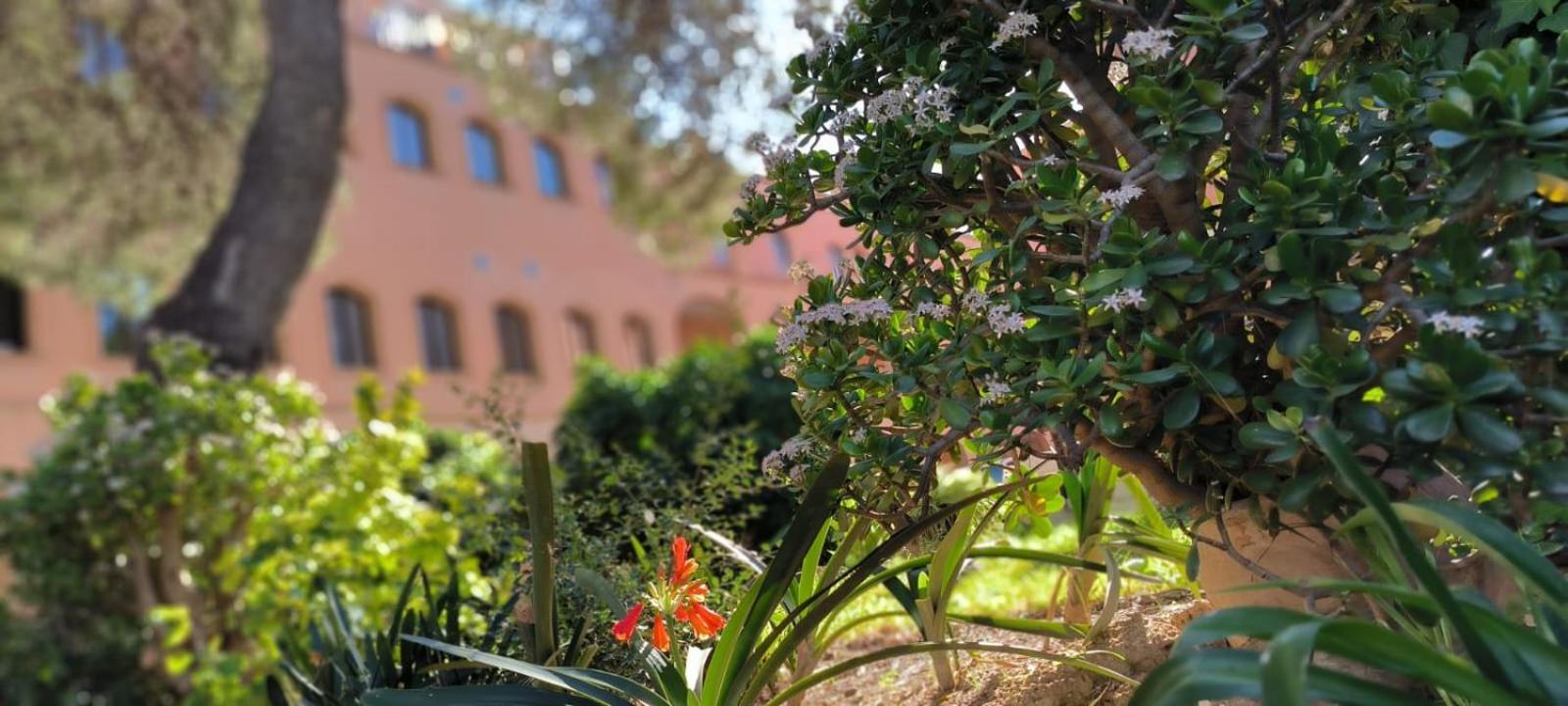 Albergue Rosa Molas Arrabal de Jesus Exteriör bild